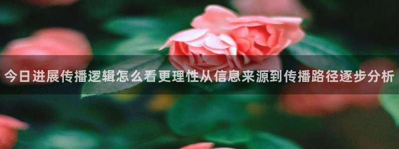 黑料网络话题