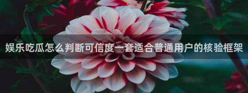 最新事件爆料