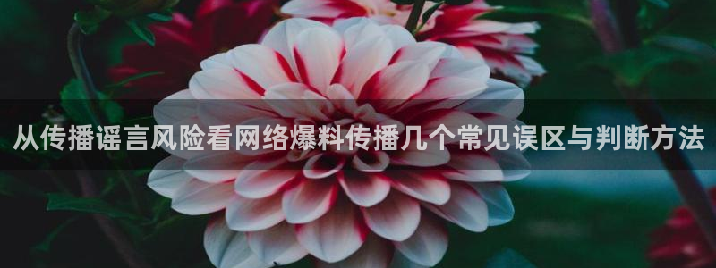 黑料事件网
