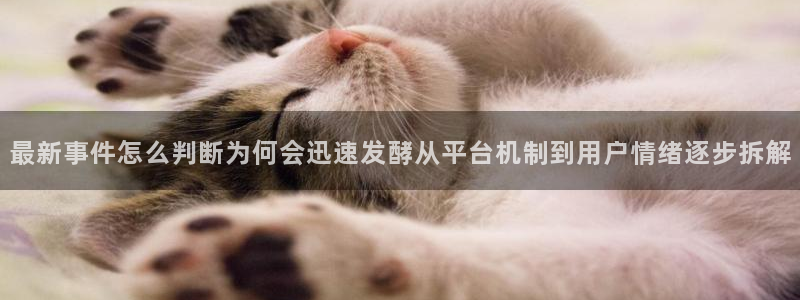黑料爆料信息大全