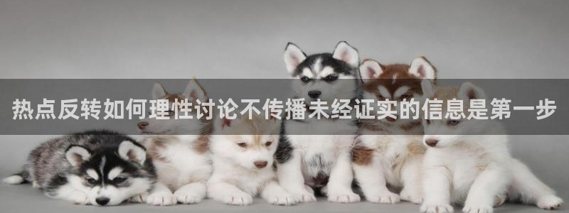 今日网络热点
