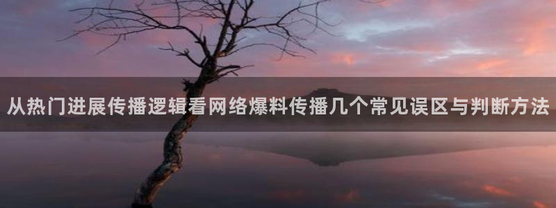 网络黑料事件